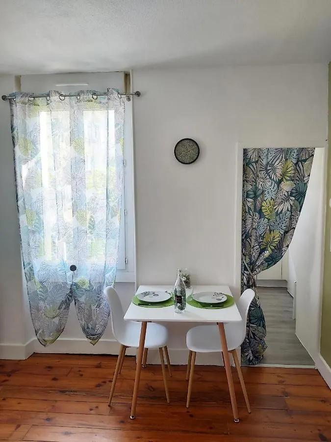 Apartment Le Jungle--Hyper Centre--Tout Confort--Wifi Lourdes