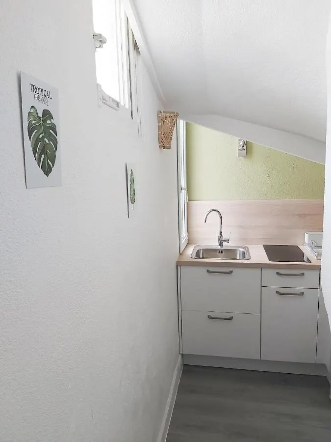 Apartment Le Jungle--Hyper Centre--Tout Confort--Wifi Lourdes